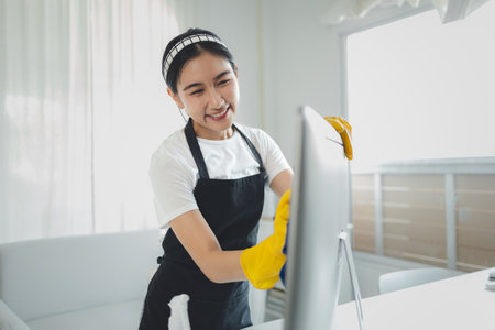 Professional Domestic Helper
